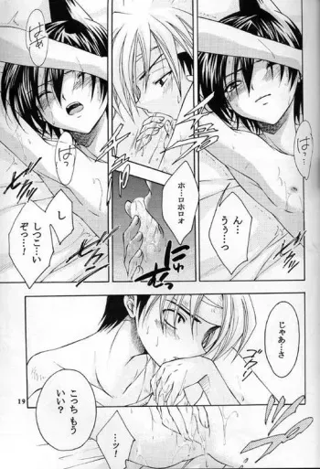 doujin ORDM (SHAMAN KING SHOTACON) manga cover