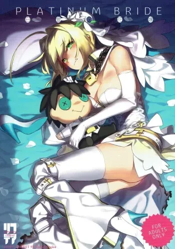 (C93) [Dai-kotetsu Dan (92M)] PLATINUM BRIDE Hakkin no Hanayome (Fate/Grand Order) [Korean] manga cover