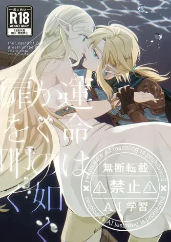 [Horete Mauu Yarou (Mauu)] Unmei wa Kaku no Gotoku Tobira o Tataku (The Legend of Zelda: Tears of the Kingdom) [Digital] manga cover