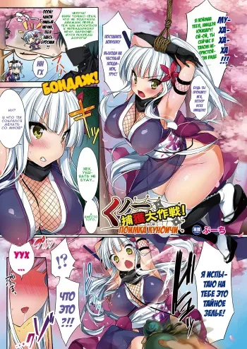 [Booch] Kunoichi Keikaku Daisakusen! Kunoichi Capture! | Поимка куноичи (COMIC Unreal 2011-06 Vol. 31) [Russian] [Илион] manga cover
