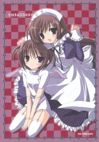 (C71) [NECOTOXIN (Inugami Kira)] TwinBerry 2 (Rozen Maiden) manga cover
