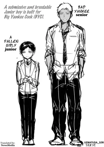 Bad Yankee Senior x Fallen Girly Junior boy manga cover
