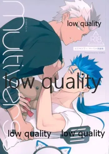 (Dai 24-ji ROOT4to5) [Soko (Kurada)] Multiverse (Fate/Grand Order) manga cover