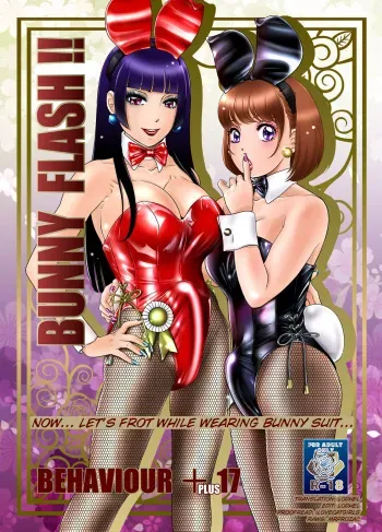 BEHAVIOUR+17 ~BUNNY FLASH!!~ manga cover