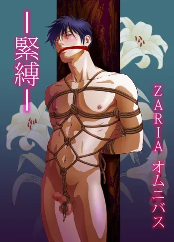 ZARIA Omnibus manga cover