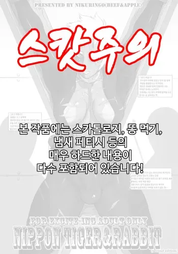 (C90) [Niku Ringo (Kakugari Kyoudai)] NIPPON TIGER & RABBIT [Korean] manga cover