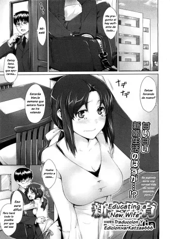 [Jin] Niizuma Kyouiku | Educating a New Wife (COMIC Megastore 2009-02) [Spanish] [Varkatzas666] [Decensored] manga cover