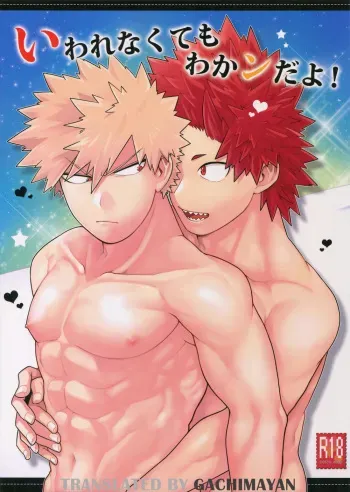 Iwarenakute mo Wakan da yo! manga cover