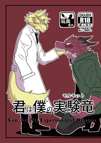 (Shinshun Kemoket 5) [4D-POCKET (Kurumi Ken)] Kimi wa Boku no Marmot | You are My Experimental Dragon [Korean] [Mordy] manga cover