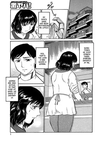 [Fujisawa Tatsurou] My Son is Really My Brother (Jukujobo no Biniku ni Meromero2) [Digital] manga cover