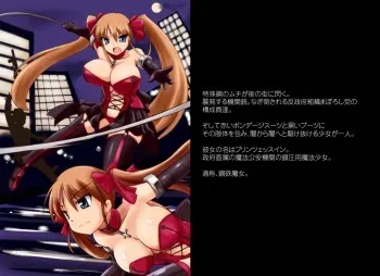 [Visual Biscuits (Tokihama Jiro)] Koutetsu Majo Prinzessin II manga cover