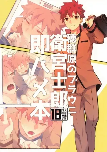 [GLUTAMIC:ACID (Tanunosuke)] Homurabara no buraunī emiyashirō soku hame hon (Fate/stay night) manga cover