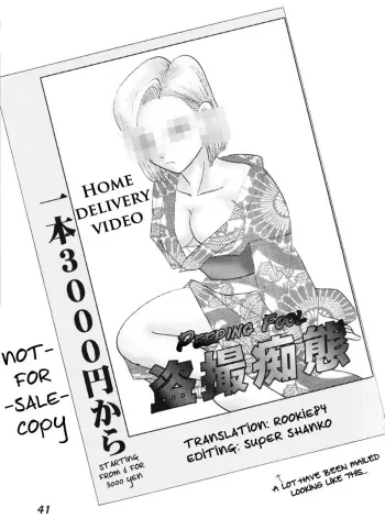 Dragonball Z: Delivery Home Video manga cover