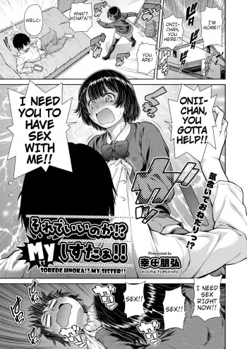 Sorede Iinoka!? My Sister!! manga cover