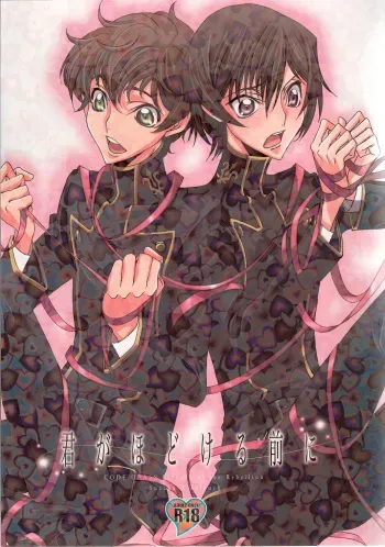 Kimi ga hodokeru mae ni manga cover