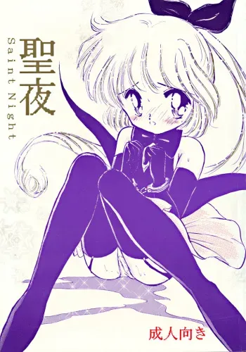 [MISTY MIDNIGHT (Shirasaka Biyu)] Seiya Saint Night (Kaitou Saint Tail) manga cover