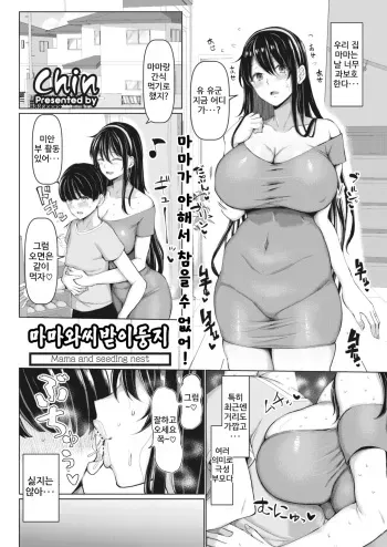 [Chin] Mama to Tanetsuke no Su - Mama and seeding nest | 마마와씨받이둥지 (COMIC HOTMiLK Koime Vol. 35) [Korean] [Digital] manga cover