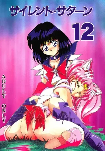 (C58) [Thirty Saver Street 2D Shooting (Various)] Silent Saturn 12 (Bishoujo Senshi Sailor Moon) manga cover