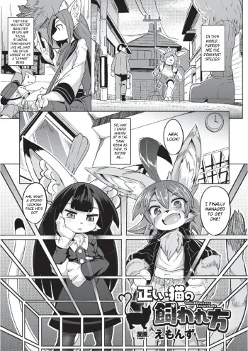[Emons] Tadashii Neko no Kawarekata (2D Comic Magazine Monster Musume ni Okasaretai! Vol. 2) [English] [BSN] [Digital] manga cover