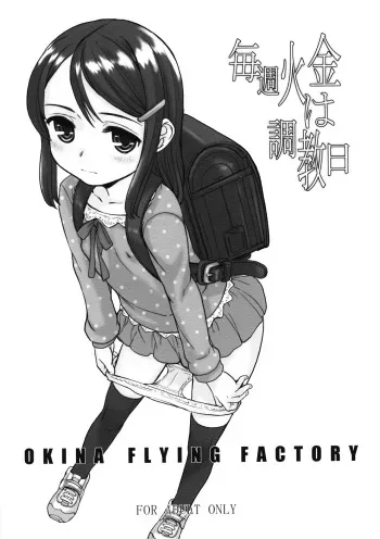 (C91) [Okina Flying Factory (OKINA)] Maishuu KaKin wa Choukyoubi manga cover