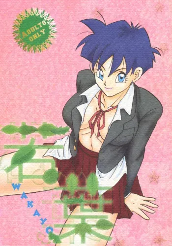 [Chirigami Goya, Fusuma Goten (Shoji Hariko, Kuri)] Wakayo (Dragon Ball GT) manga cover