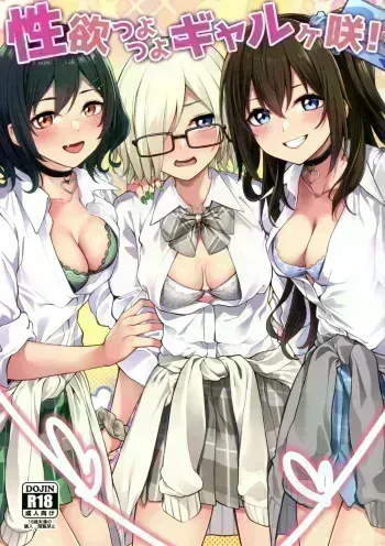 Seiyoku Tsuyotsuyo Gyarugasaki! manga cover
