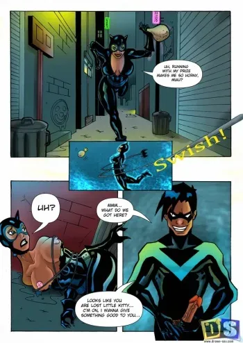 [Drawn-Sex] Nightwing and Catwoman (Batman) manga cover