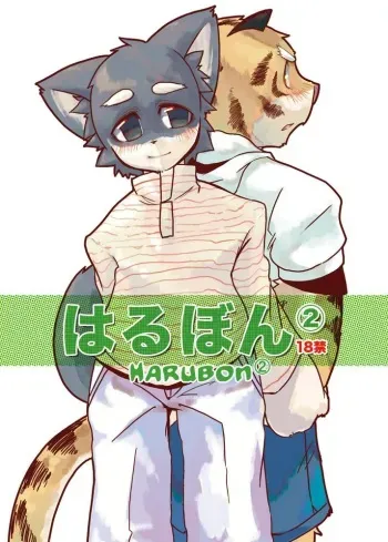 (C69) [Harugoya (Harusuke)] Harubon 2 [Spanish] [Sly_Silver] [Decensored] manga cover