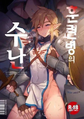[Morittokoke (Morikoke)] Kunren-hei no junan | 훈련병의 수난 (The Legend of Zelda) [Korean] [새벽안개] [Digital] manga cover