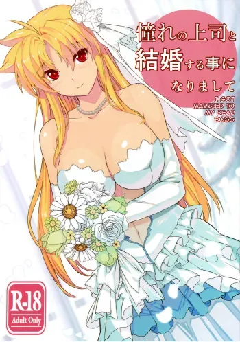 (C93) [Studio Himawari (Himukai Kyousuke)] Akogare no Joushi to Kekkon Suru Koto ni Narimashite (Mahou Shoujo Lyrical Nanoha) [English] {darknight} manga cover