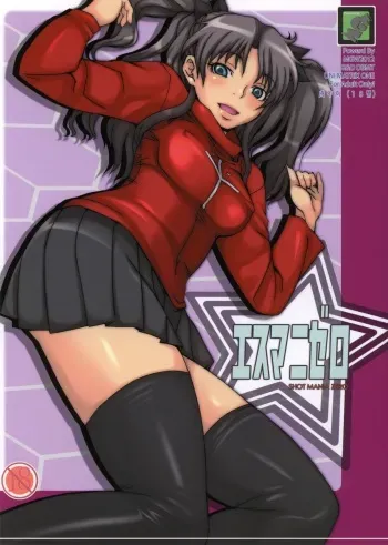 (C81) [MGW (Isou Doubaku)] S Mani Zero (Fate/stay night) manga cover