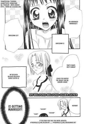 Beloved Older Sister manga cover