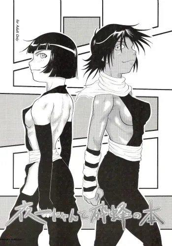 [Great.Dadan (Seijirou Kagechika)] Yoruichi Nyan to Soi Fon no Hon (Bleach) [English] [SaHa] manga cover