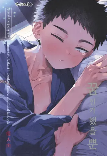 [Ebiharami (Yoruge)] 꿈인가 했을 뿐 Yume ka to motori (Touken Ranbu) manga cover