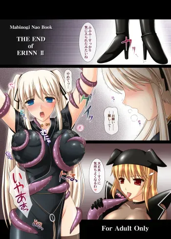 [SIMPLE HOUSE (Kafu)] THE END of ERINN II (Mabinogi) [Digital] manga cover