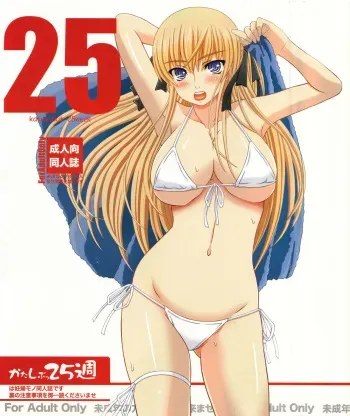 [Shiawase Kyouwakoku (Shiawase no Katachi)] Katashibu 25-shuu [English] [SaHa] manga cover