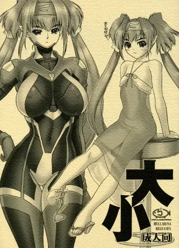 (C74) [Hellabunna (Iruma Kamiri)] Daishou | Large and Small (Macross Frontier) manga cover