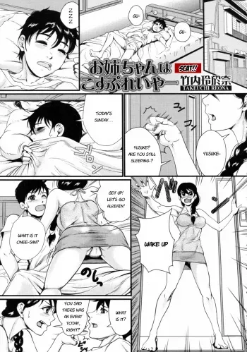 [Takeuchi Reona] Onee-chan wa Cosplayer | Onee-chan is a cosplayer (Nozoite wa Ikenai 2) [English] [Last Resort Translations] manga cover