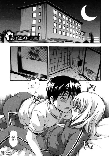 [Tsuruta Bungaku] Tabi wa Michizure [Kouhen] (Hanahira Torori) [Korean] [asdasd] manga cover