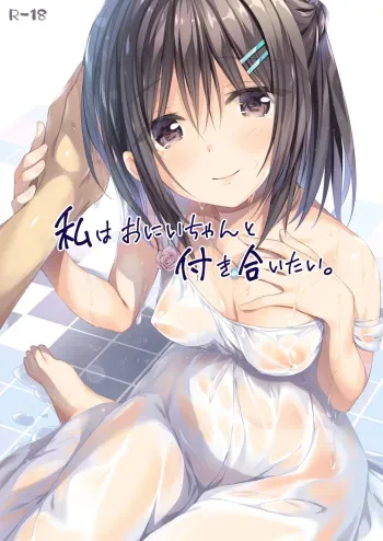 Watashi wa Onii-chan to Tsukiaitai. manga cover