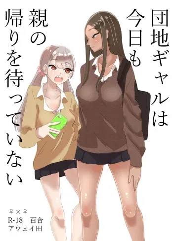 [Aweida] Danchi Gyaru wa Kyoumo Oya no Kaeri wo Matsutei Nai manga cover
