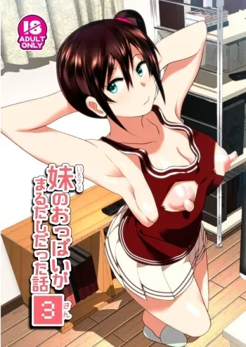 Imouto no Oppai ga Marudashi Datta Hanashi 3 manga cover