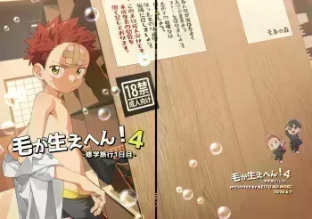 Ke ga Haehen! 4 manga cover