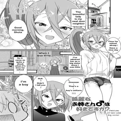 The Beautiful Big-Sister Next Door [Yaoi] [Original] manga cover