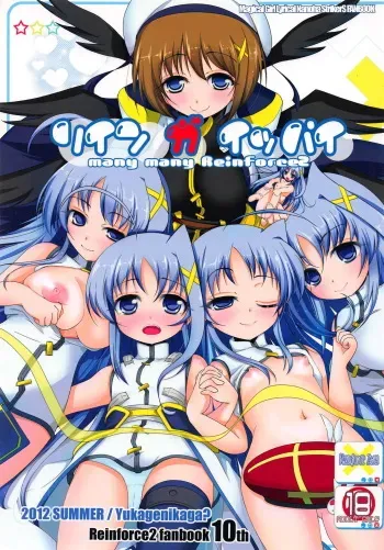 (C82) [Yukagenikaga? (Yukagen Tenyu)] Rein ga Ippai (Mahou Shoujo Lyrical Nanoha StrikerS) manga cover