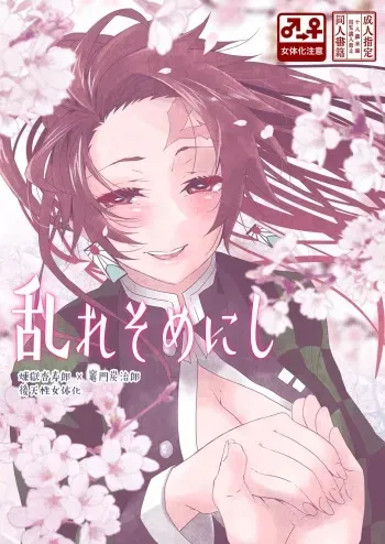 (Nichirin Kitan 6) [Yakionigiri (Taiga Tora)] Midare Somenishi (Kimetsu no Yaiba) [Sample] manga cover