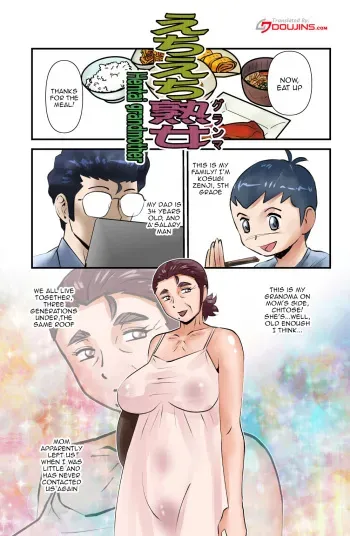 [WalterWolf] Echi Echi Grandma | Foxy Grandma [English] {Doujins.com} manga cover