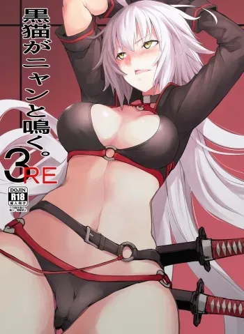 Kuroneko ga Nyan to Naku. 3RE manga cover