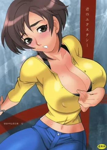 (C70) [SHALLOT COCO (Yukiyanagi)] Yukiyanagi no Hon 12 Kimi no Ecstasy (Witchblade) manga cover