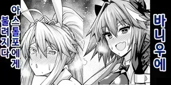 [Ankoman] 바니우에, 아스톨포의 호출을 받다... (Fate/Grand Order) [korean] manga cover